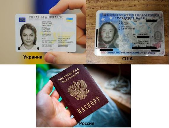 прописка в Павловске